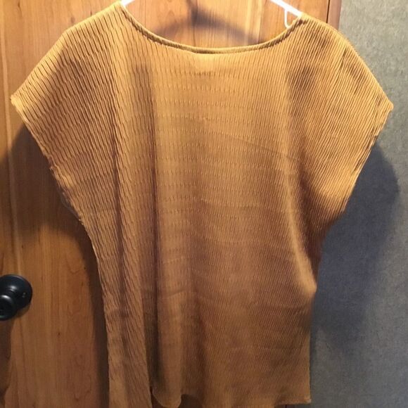 NWOT Copy Cats Brand Ginger Color S/S Blouse Womens Size XL - Picture 8 of 8